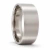 brushed titanium ring