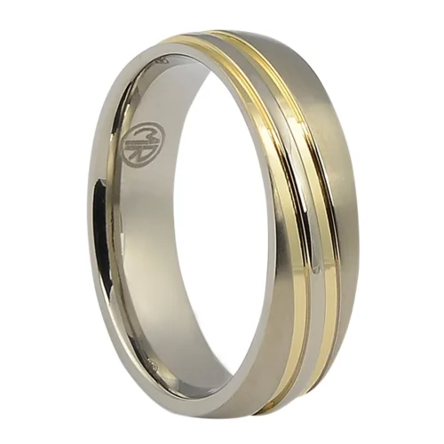 Gold and Titanium Ring