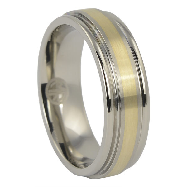 White gold and titanium ring - Thomas Meihofer Jewellery Design