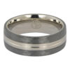 Titanium mens wedding ring
