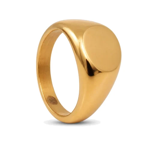 Polished Gold Steel Round Mens Signet Ring