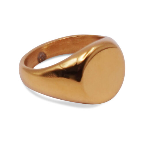 Polished Gold Steel Round Mens Signet Ring
