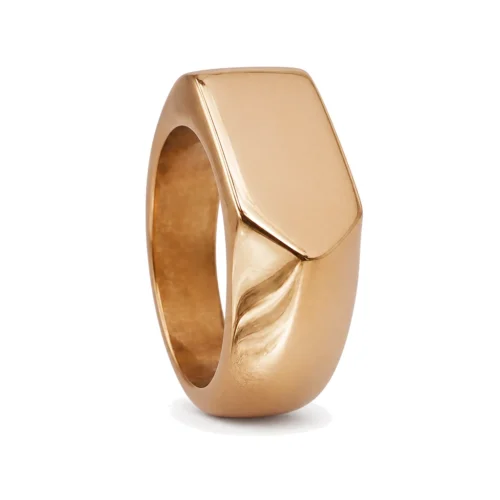 Liam Pointed Edge Gold Signet Ring