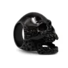 Skullstice Black Polished Signet Ring with Large Skull Head