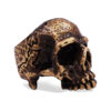 SIG-071-Aged-Carved-Bronze-Skull-Ring-1.jpg