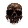 SIG-071-Aged-Carved-Bronze-Skull-Ring-3.jpg