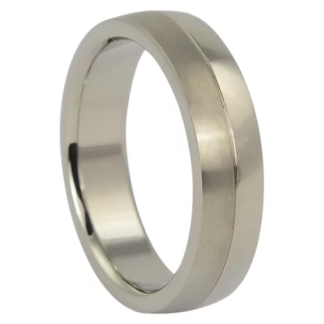 Titanium Dual Tone Mens Ring Titanium Dual Tone Mens Ring