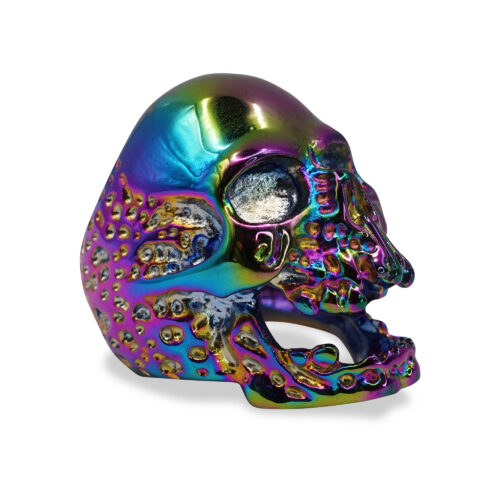 Skullstice Rainbow Polished Signet Ring with Large Skull Head
